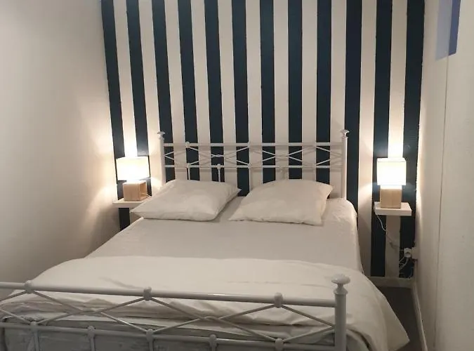Apartment Joli T2 Ambiance Nautique Climatise Et Bien Situe *