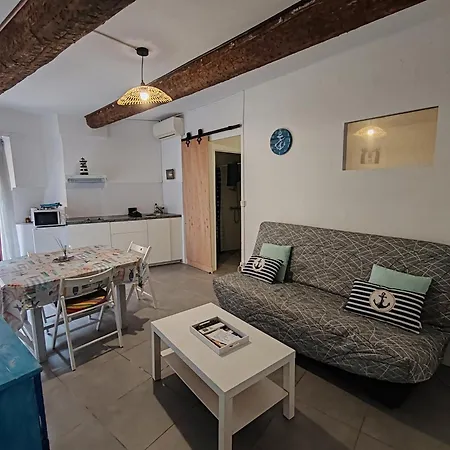 Joli T2 Ambiance Nautique Climatise Et Bien Situe Apartment